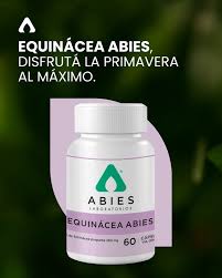 Equinácea